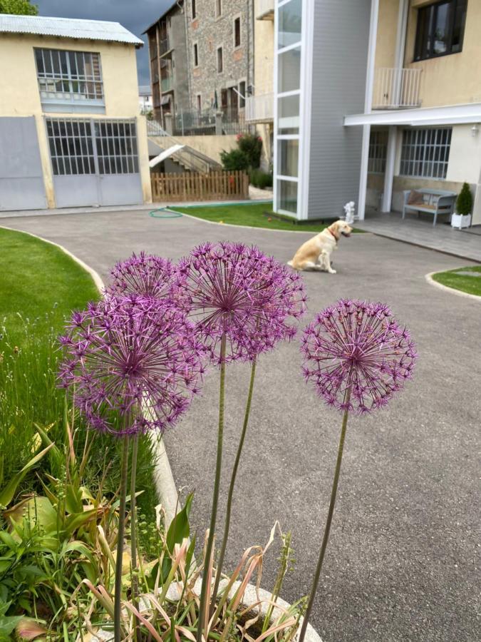 Chez Hélène, appartement charmant pour 4 personnes chiens bienvenus-perros bienvenidos Bourg-Madame Exterior foto